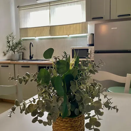 Maria Apartment *